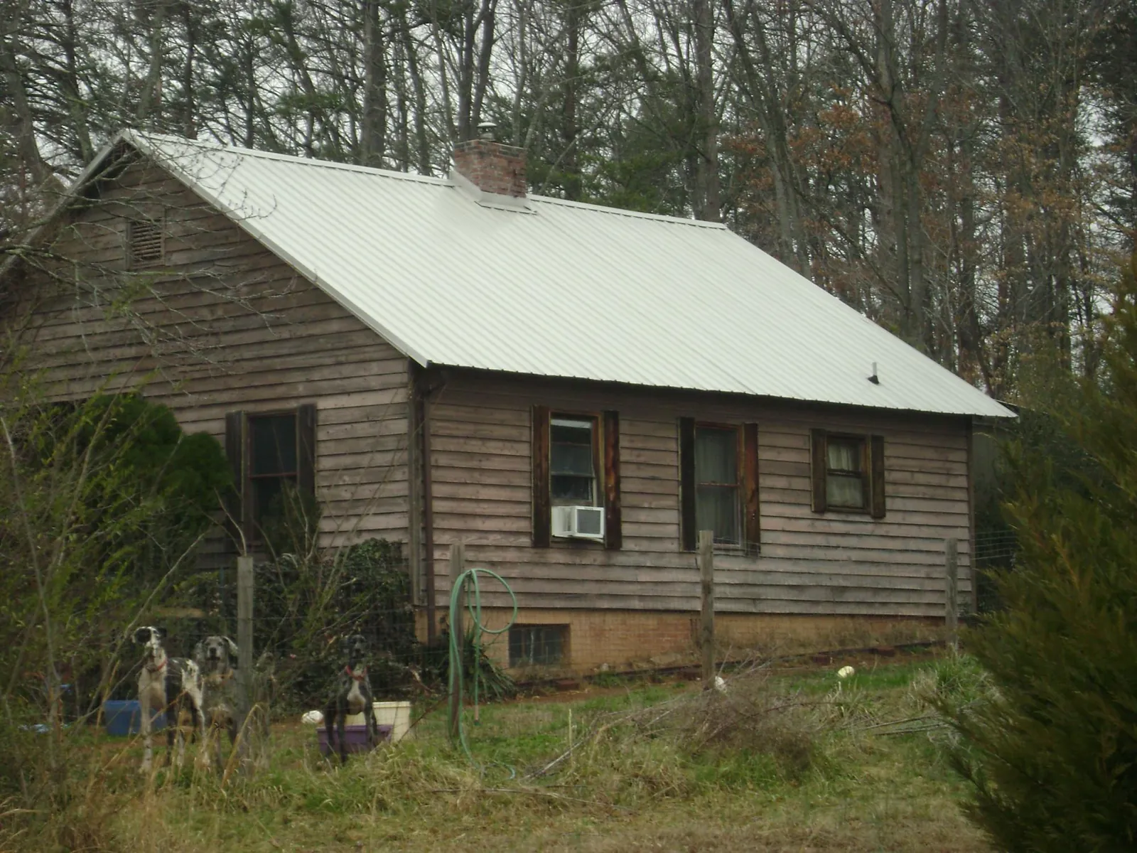 White metal roof on an old wood sided farmhouse, from a Asphalt Shingle Roof Repair job in Bonner